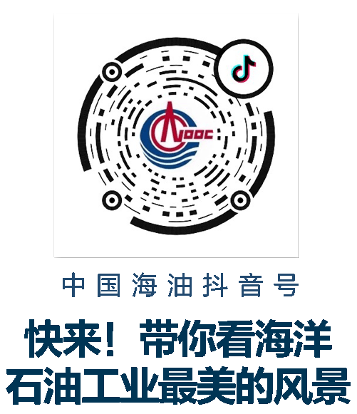 @粤港澳大湾区 新气源从深海来了!