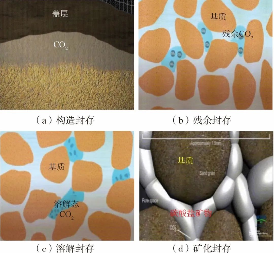 芮振华，李阳，等：CO₂提高油气采收率与地质封存关键技术发展建议！