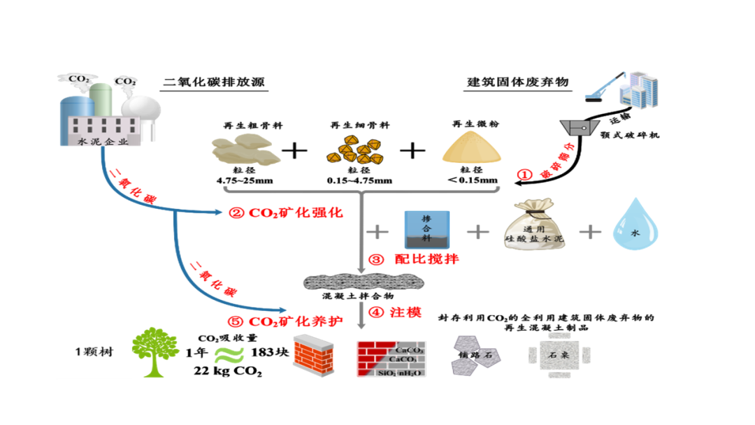 【成果推介】第11期：水泥窑尾气CO2矿化养护制备再生混凝土制品